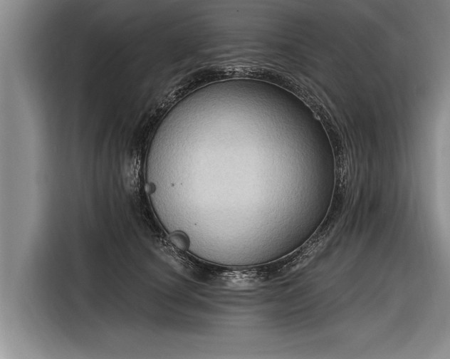 X0000116300660200912071249