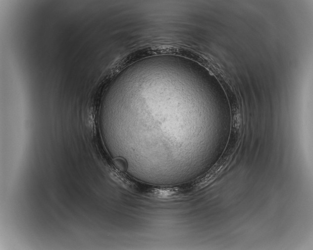 X0000116300662200912071249