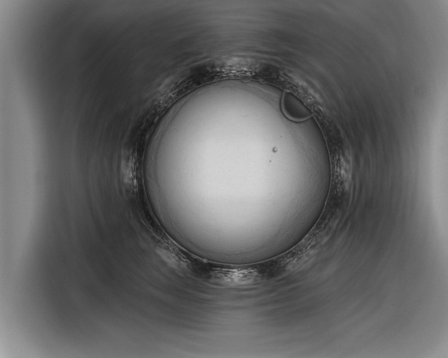 X0000116300663200912071249