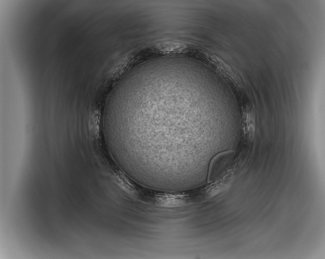 X0000116300664200912071249