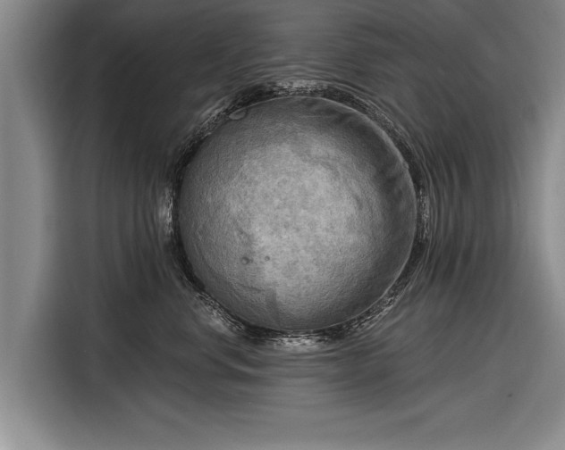 X0000116300668200912071249