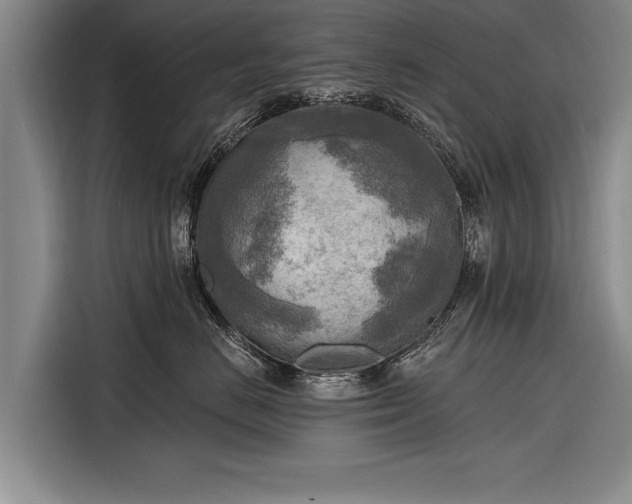 X0000116300670200912071249