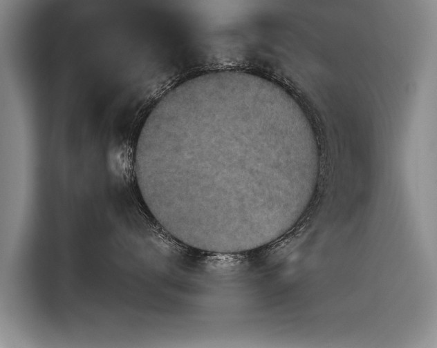 X0000116300672200912071250