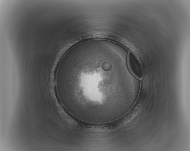 X0000116300673200912071249