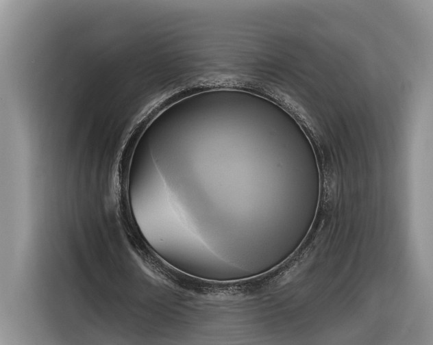 X0000116300674200912071249