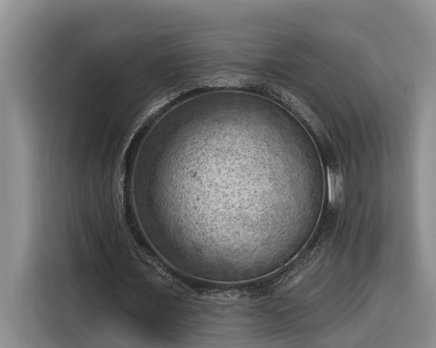 X0000116300675200912071249