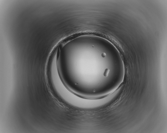 X0000116300676200912071249