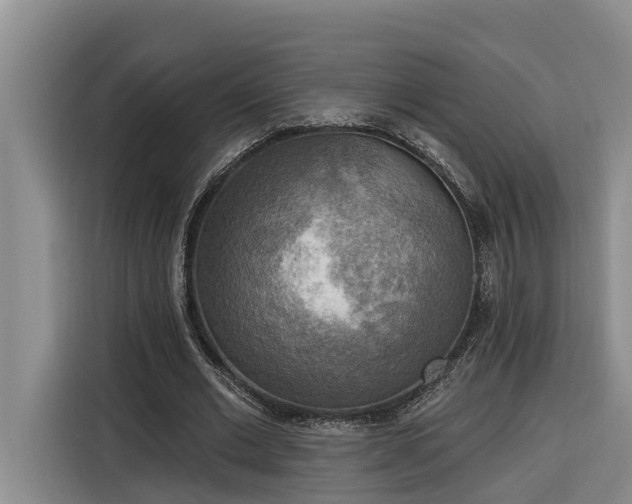 X0000116300677200912071249