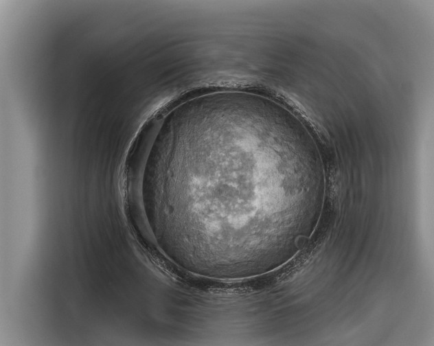 X0000116300679200912071249