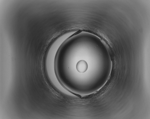 X0000116300681200912071249