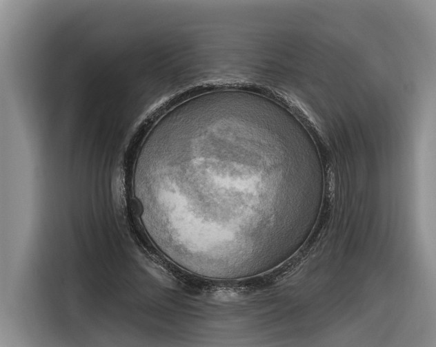 X0000116300684200912071249