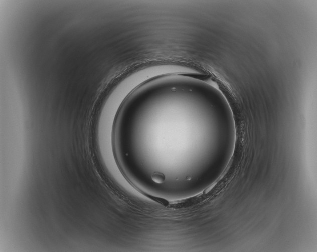 X0000116300685200912071249