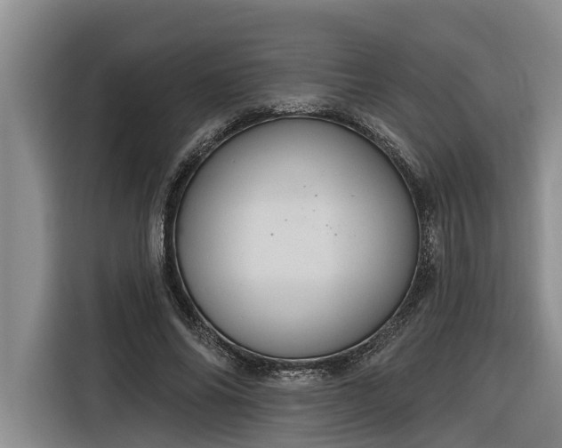 X0000116300686200912071249