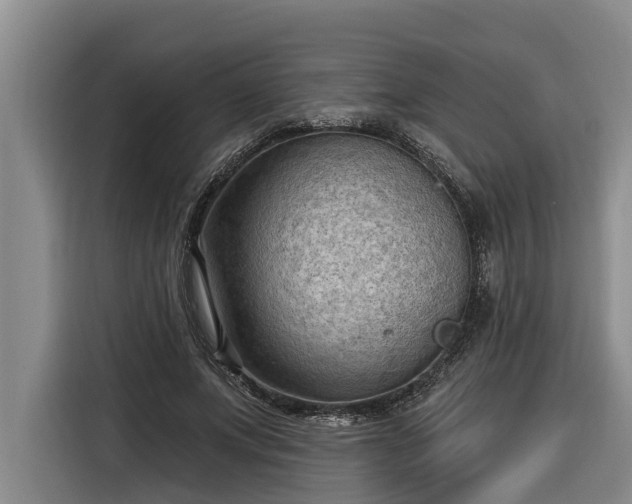 X0000116300687200912071249