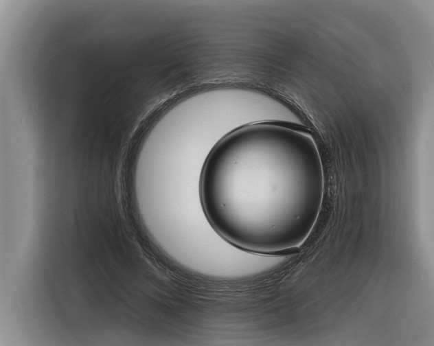 X0000116300688200912071249