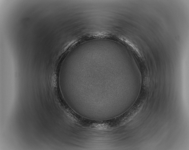 X0000116300689200912071249