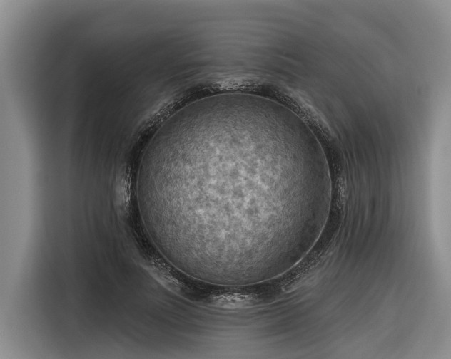 X0000116300691200912071249