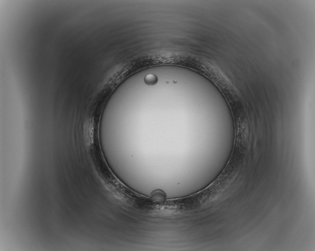 X0000116300694200912071249