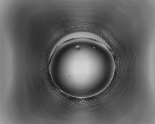 X0000116300696200912071249