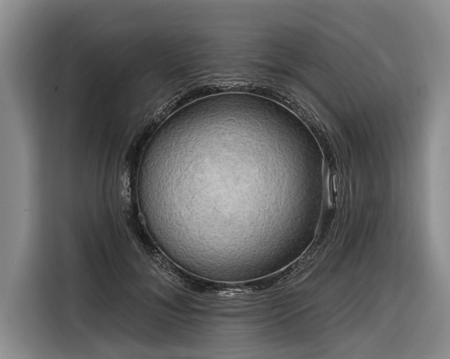 X0000116300700200912071249