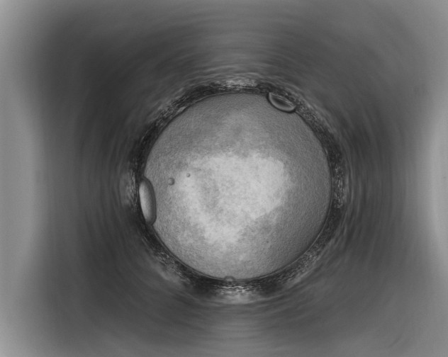 X0000116300704200912071248