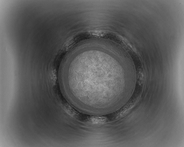 X0000116300707200912071248