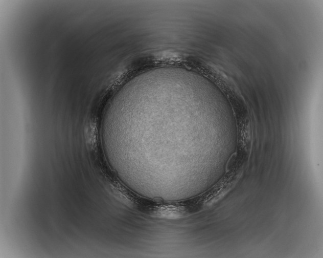 X0000116300708200912071248