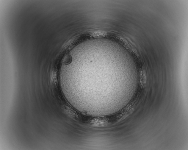 X0000116300714200912071248