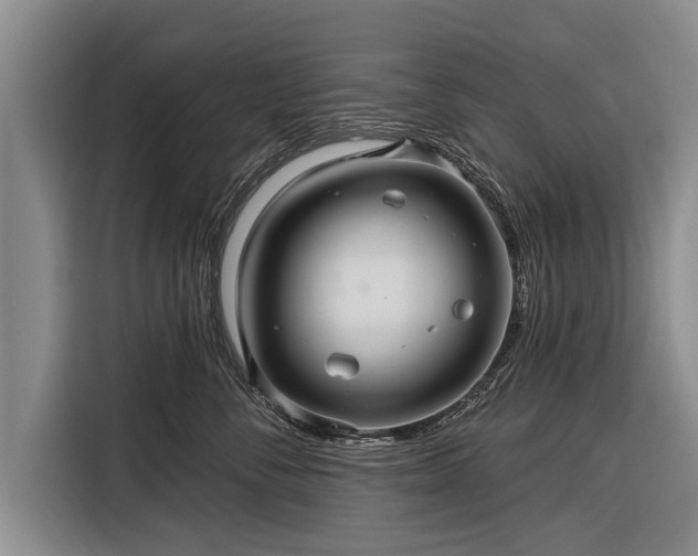 X0000116300716200912071248