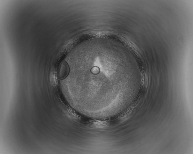 X0000116300718200912071248