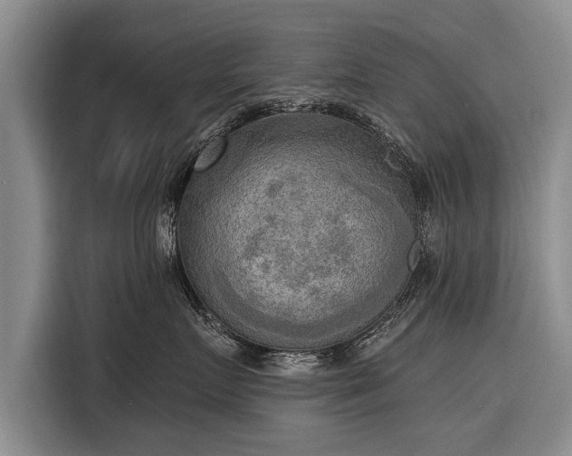 X0000116300719200912071248