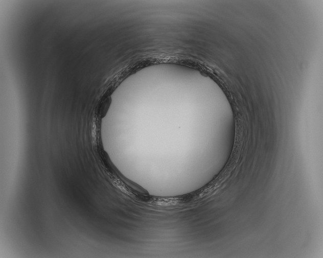 X0000116300720200912071248