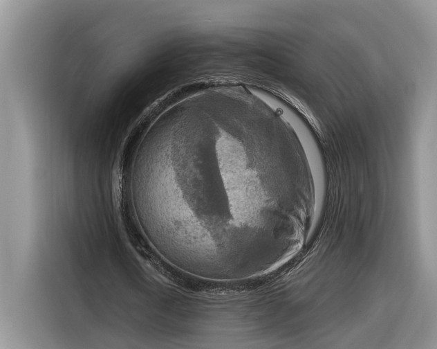 X0000116300722200912071248