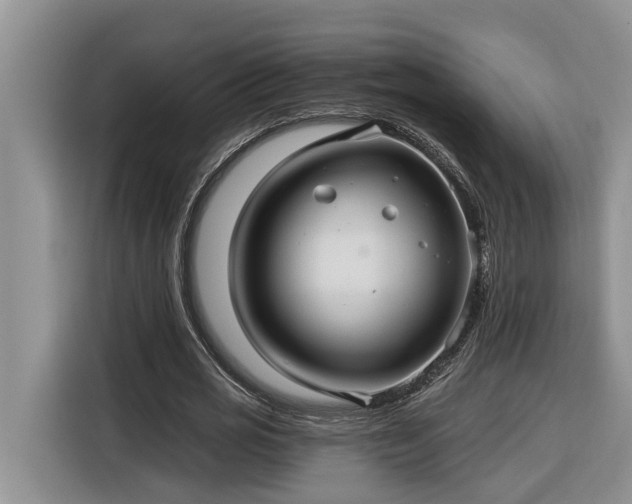 X0000116300725200912071248