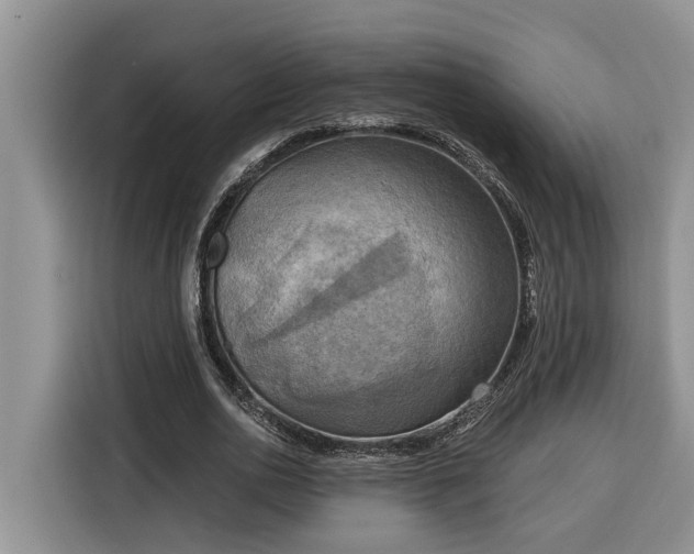 X0000116300726200912071248