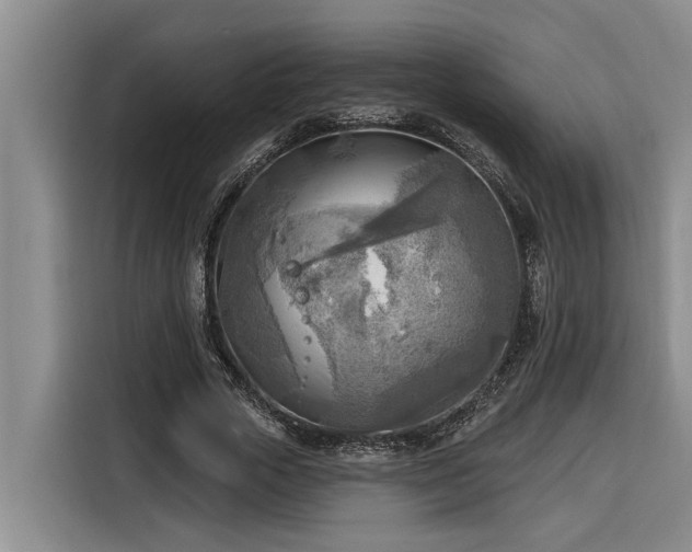 X0000116300729200912071248