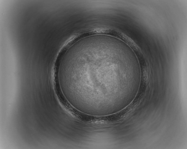 X0000116300730200912071248