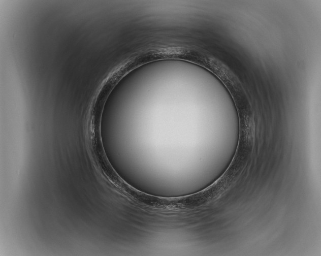 X0000116300731200912071248