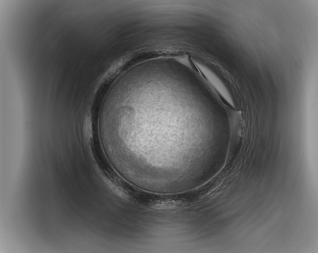 X0000116300734200912071248