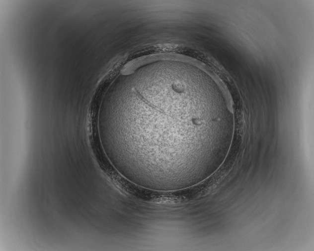 X0000116300738200912071248