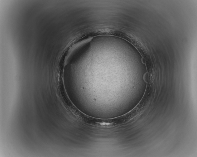 X0000116300739200912071248