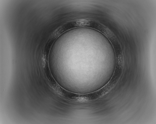 X0000116300741200912071248