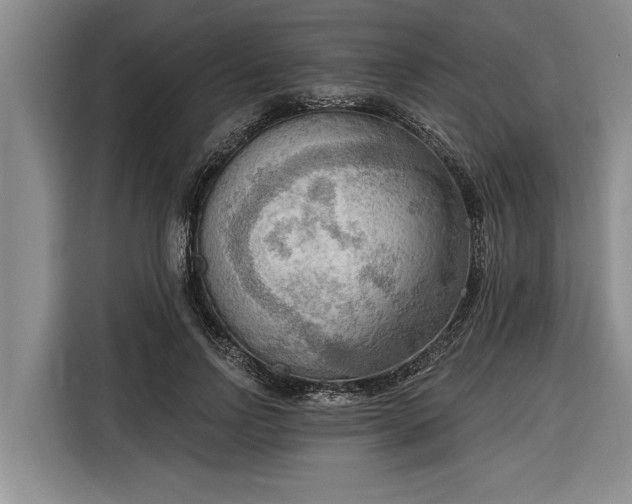 X0000116300742200912071248