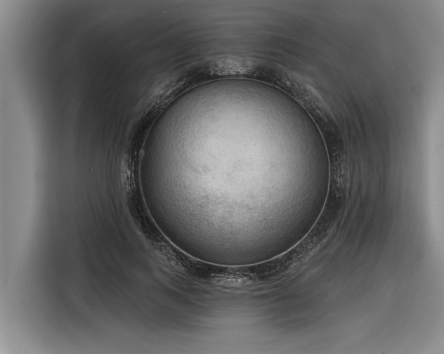 X0000116300743200912071248