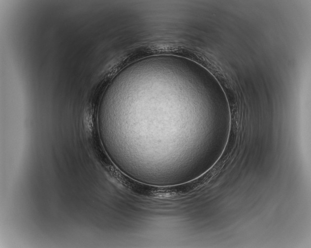 X0000116300746200912071248