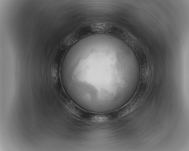 X0000116300749200912071248