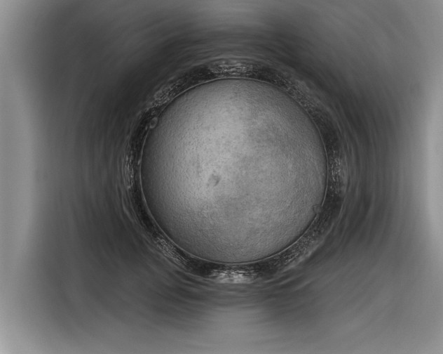 X0000116300751200912071248