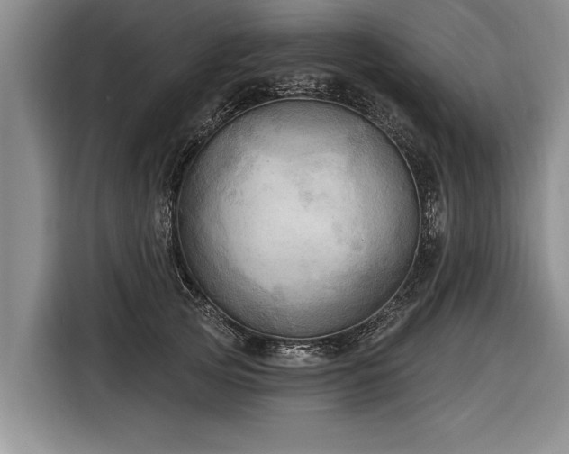 X0000116300753200912071248