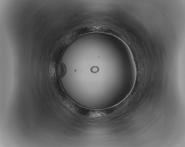 X0000116300754200912071248