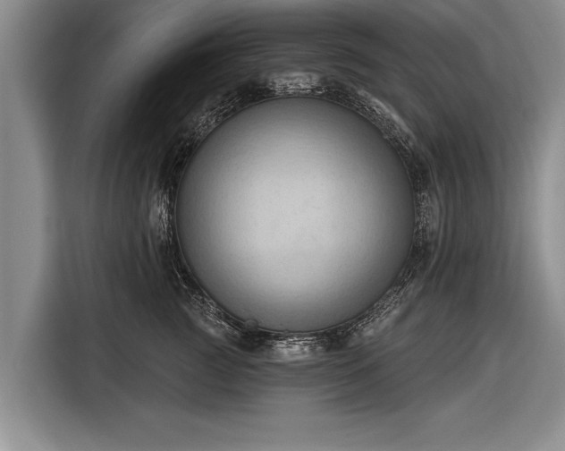 X0000116300761200912071248